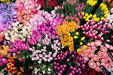 《怪物猎人：荒野》第二次内容更新将于6月30日上线