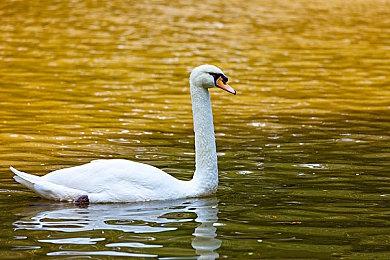 《星际拓荒》次世代版将于9月15日推出 支持60帧