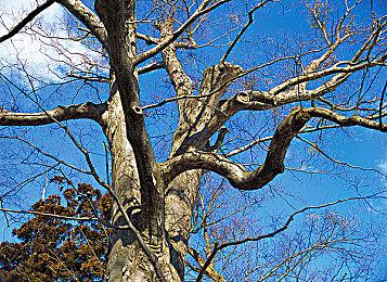 《房产达人2》宣布实体版 主机版明年3月推出